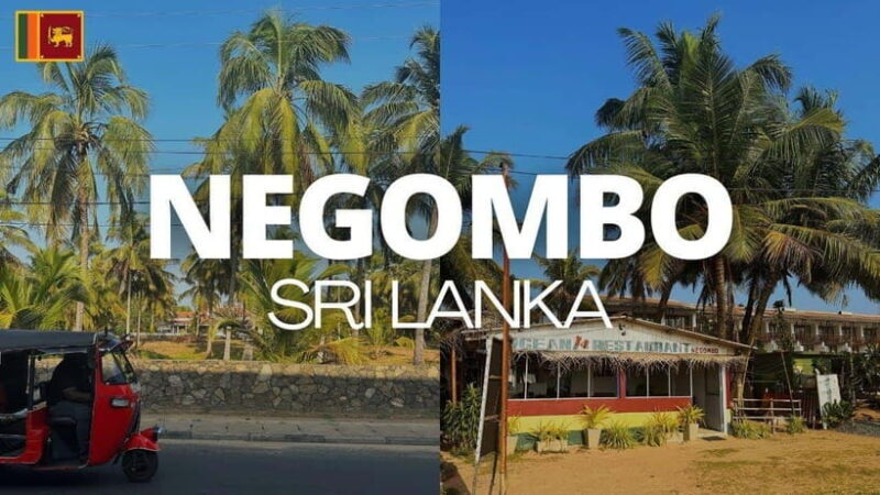 Negombo City : Explore the Fish Market & Dutch Canal by Boat - Good To Know