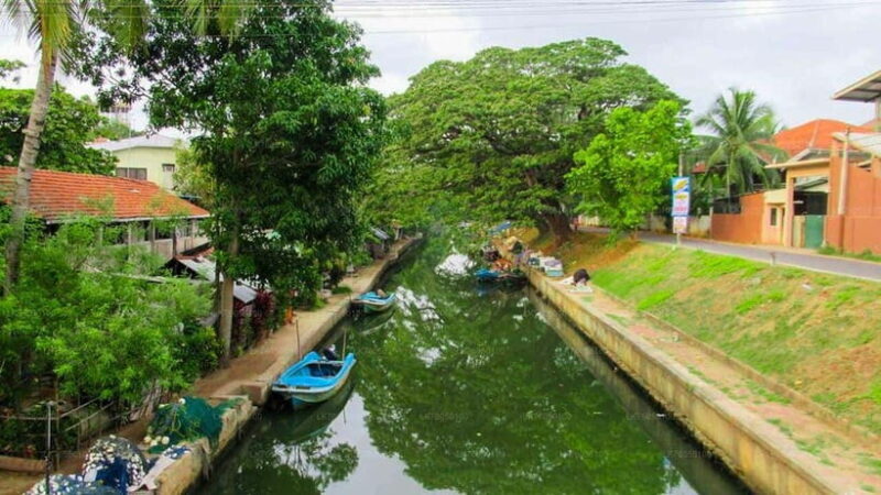Negombo City : Explore the Fish Market & Dutch Canal by Boat - The Sum Up