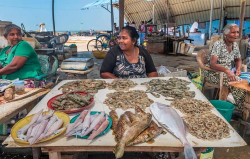 Negombo City Highlight & Local Food Tasting All Include Tour - Why You’ll Love the Negombo City Highlight & Food Tour