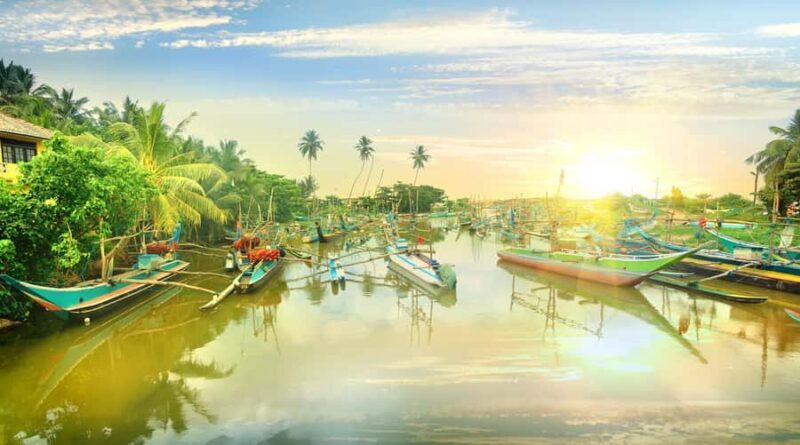 Negombo City Highlight & Local Food Tasting All Include Tour - The Practical Side: What You Need to Know