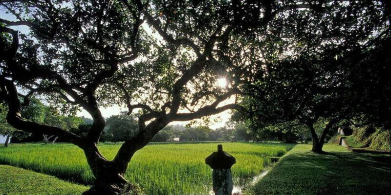 Negombo/Colombo: Bawa's Estate & Brief Garden Private Tour - Introduction