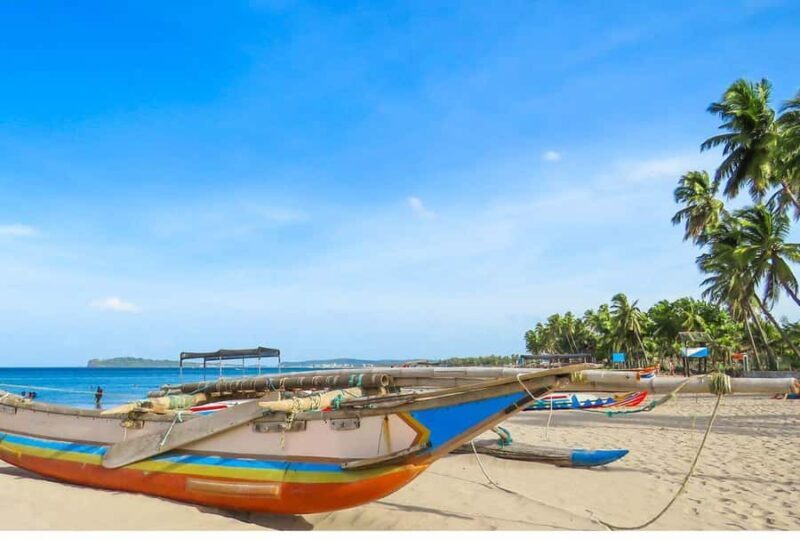 Negombo/Colombo:Private Galle Dutch Fort & Madu River Safari - Who Will Enjoy This Tour?