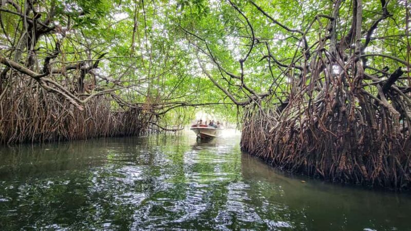 Negombo/Colombo:Private Galle Dutch Fort & Madu River Safari - Who Will Love This Tour?