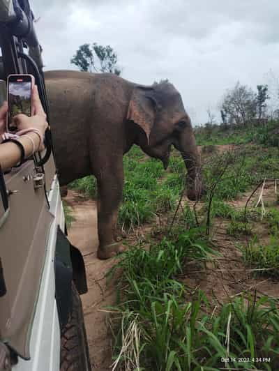 Negombo: Day Tour; Dambulla, Elephant Safari & Village - Dambulla Cave Temple Experience