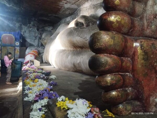 Negombo: Day Tour; Dambulla, Elephant Safari & Village - Cost and Pricing Information