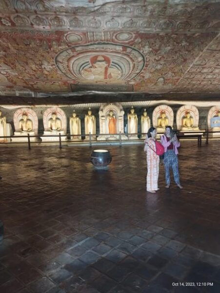 Negombo: Day Tour; Dambulla, Elephant Safari & Village - Important Travel Tips