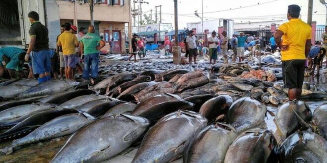 Negombo: Exploration Tour by Tuk-Tuk! - Visiting St. Marys Church