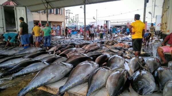 Negombo: Fishing Village Highlights Tour in a Tuk-Tuk - Common Questions