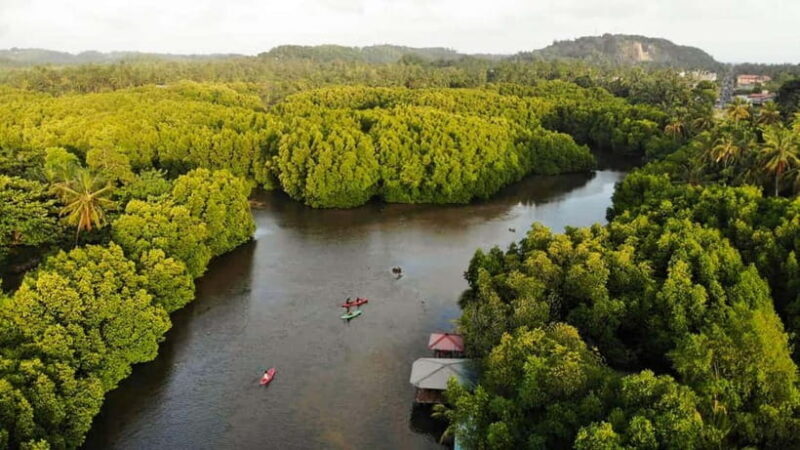 Negombo: Guided Kayaking Tour in the Lagoon - Good To Know
