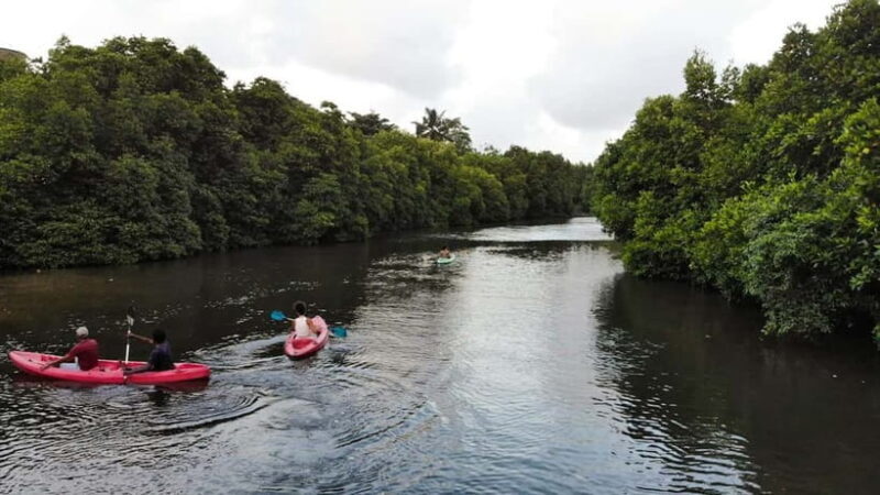 Negombo: Guided Kayaking Tour in the Lagoon - The Itinerary Breakdown