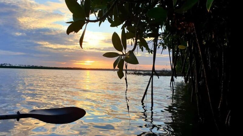 Negombo: Kayaking in the Lagoon - What to Expect from the Negombo Lagoon Kayaking Tour