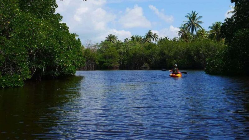 Negombo: Kayaking in the Lagoon - Good To Know
