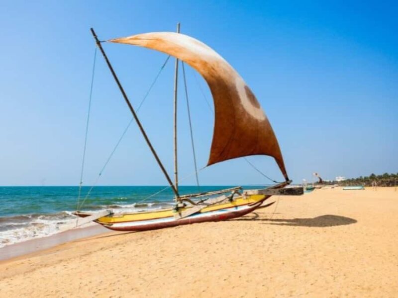 Negombo Lagoon Boat Tour, Hotel Pickup (Monkey, Mangrove) - Good To Know