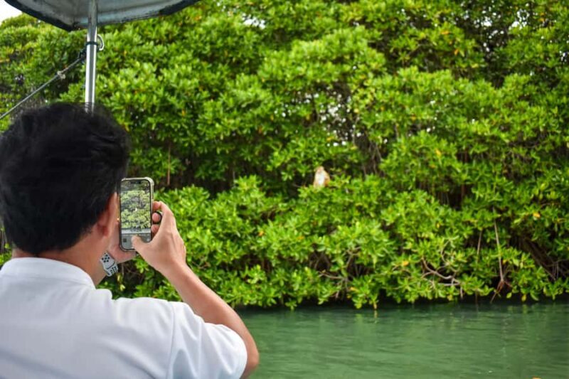 Negombo: Lagoon Boat Tour with hotel transfers & fruit snak - Exploring the Lagoon: What to Expect