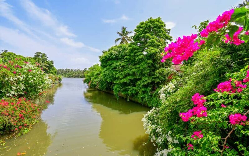 Negombo Lagoon & Dutch Canal Sunset Boat Tour - Good To Know