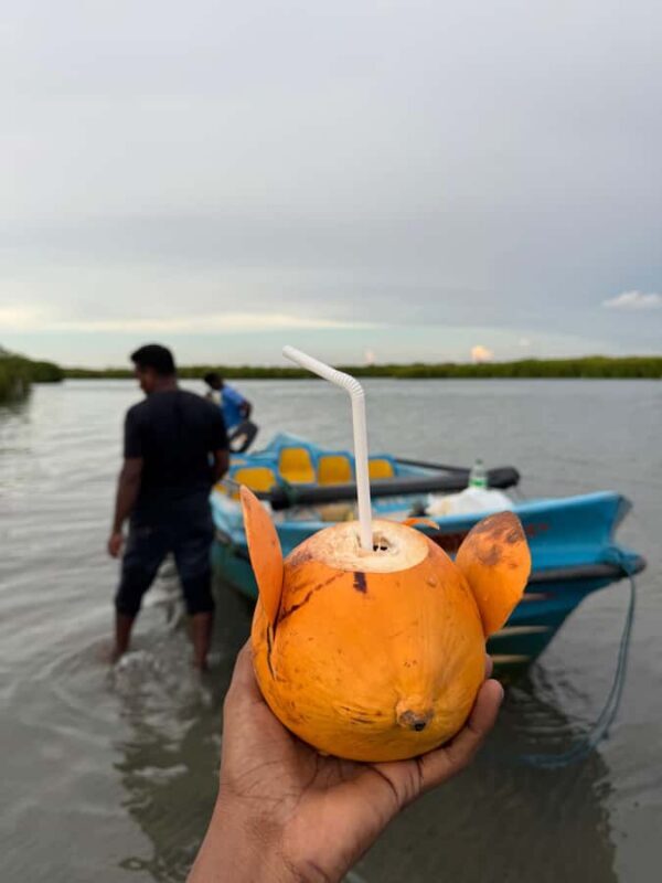 Negombo Lagoon & Dutch Canal Sunset Boat Tour - The Sunset and Scenic Views
