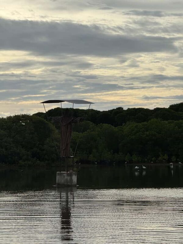 Negombo Lagoon & Dutch Canal Sunset Boat Tour - Practical Details and Tips