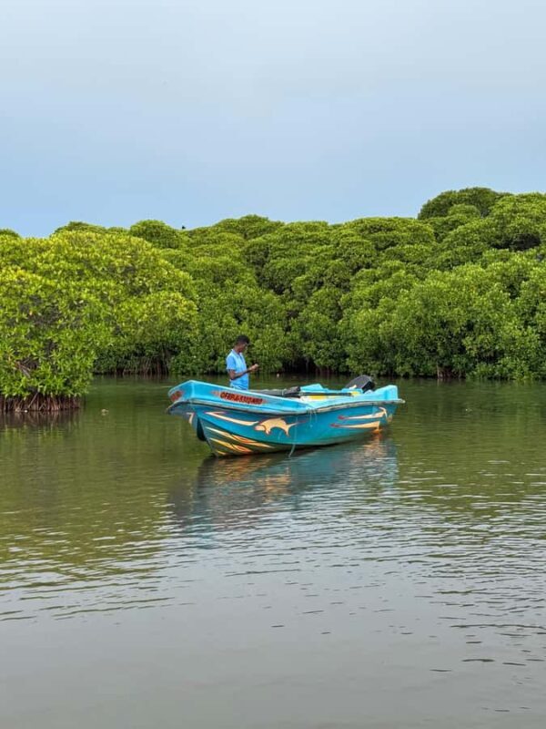 Negombo Lagoon & Dutch Canal Sunset Boat Tour - Who Will Love This Tour?