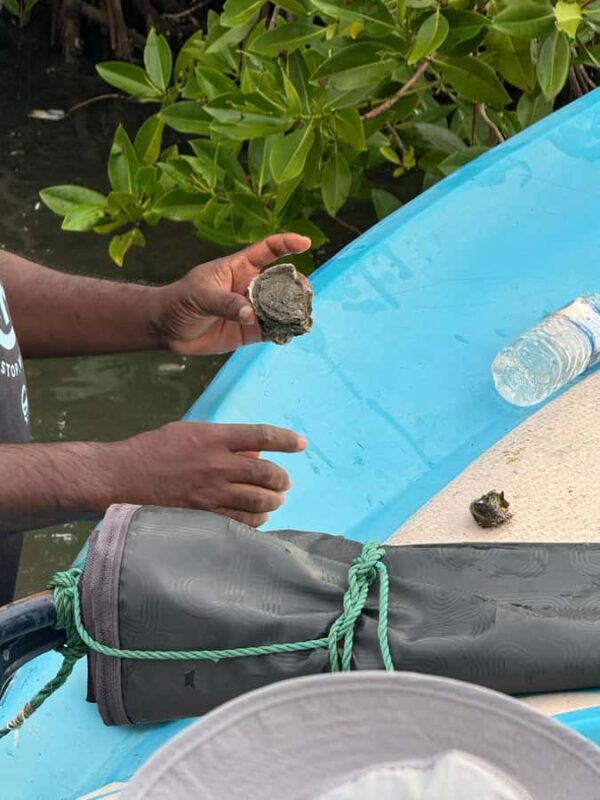 Negombo Lagoon & Dutch Canal Sunset Boat Tour - FAQ
