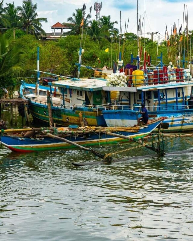 Negombo Lagoon & Muthurajawela Boat Tour - Starting Point & Transportation