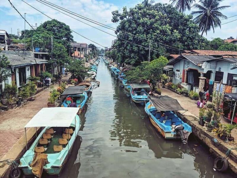 Negombo Lagoon & Muthurajawela Boat Tour - Navigating the Canals & Mangroves