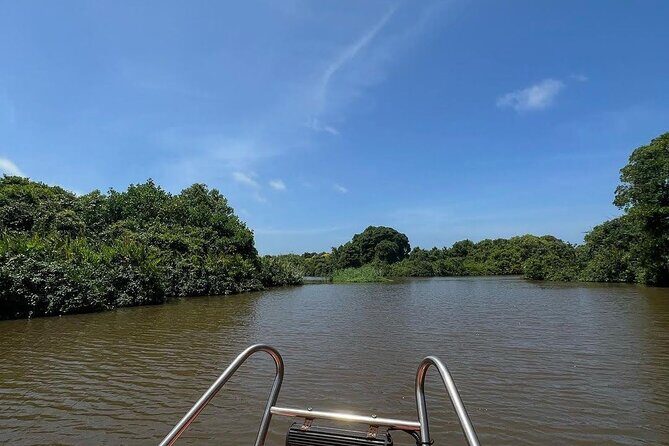 Negombo Lagoon & Muthurjawela Bird Watching Boat Tour - Introduction