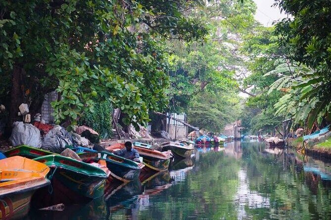Negombo Lagoon & Muthurjawela Bird Watching Boat Tour - Who Is This Tour Best For?