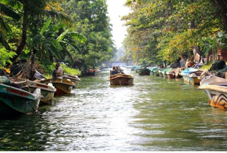 Negombo: Muthurajawela Wetland & Dutch Canal Boat Tour - Boat Tours and Local Attractions