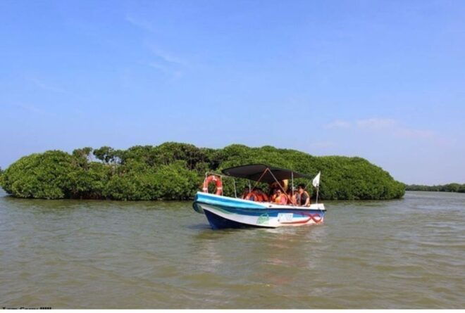 Negombo: Muthurajawela Wetland & Dutch Canal Boat Tour - Inclusions and Important Information
