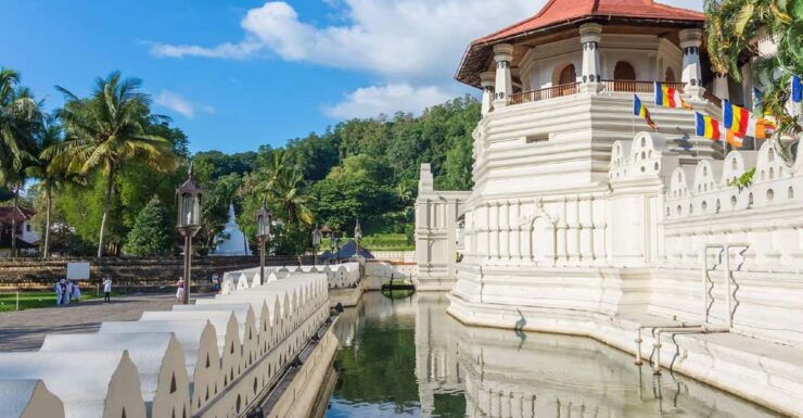 Negombo: Pinnawala & Kandy Day Tour With Tea Factory - Good To Know