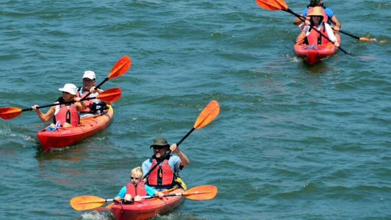 Negombo private city-Lagoon: Sunrise or Sunset Kayaking Tour - What You Should Know Before Booking