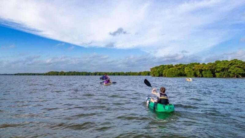 Negombo private city-Lagoon: Sunrise or Sunset Kayaking Tour - An In-Depth Look at the Negombo Lagoon Kayaking Tour