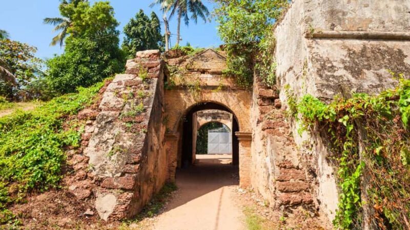 Negombo: Private City Tour with Ayurvedic Massage & Lunch - Final Thoughts