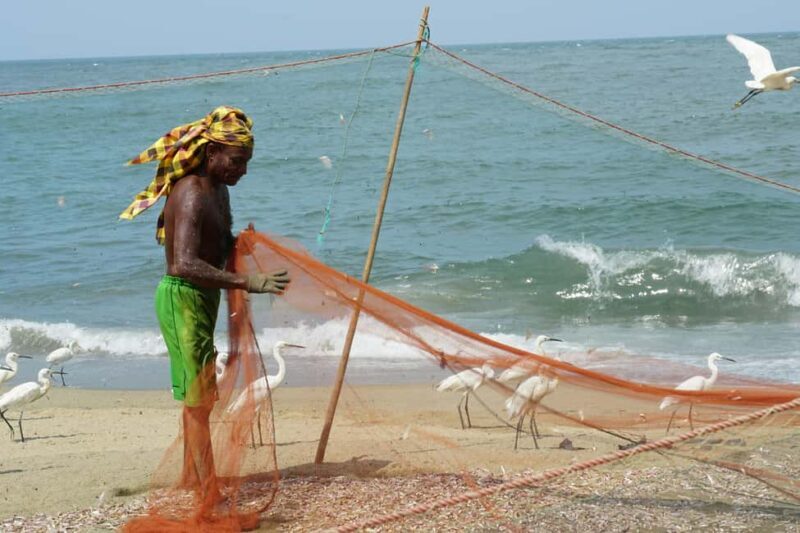 Negombo Private Tour: Market, Temples & Canal - An Honest Look at Exploring Negombo