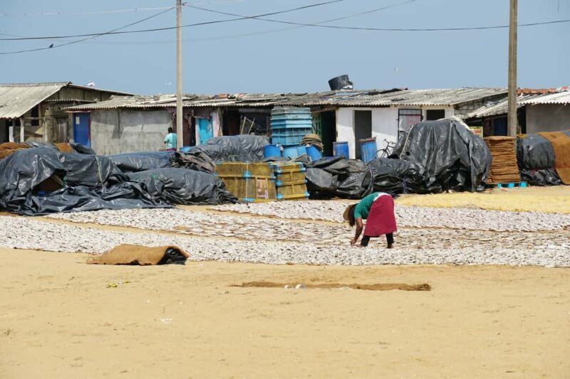 Negombo Private Tour: Market, Temples & Canal - What to Expect in Terms of Logistics