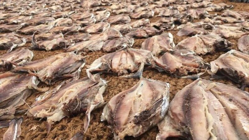 Negombo Private Tour: Market, Temples & Canal - Summary of the Experience