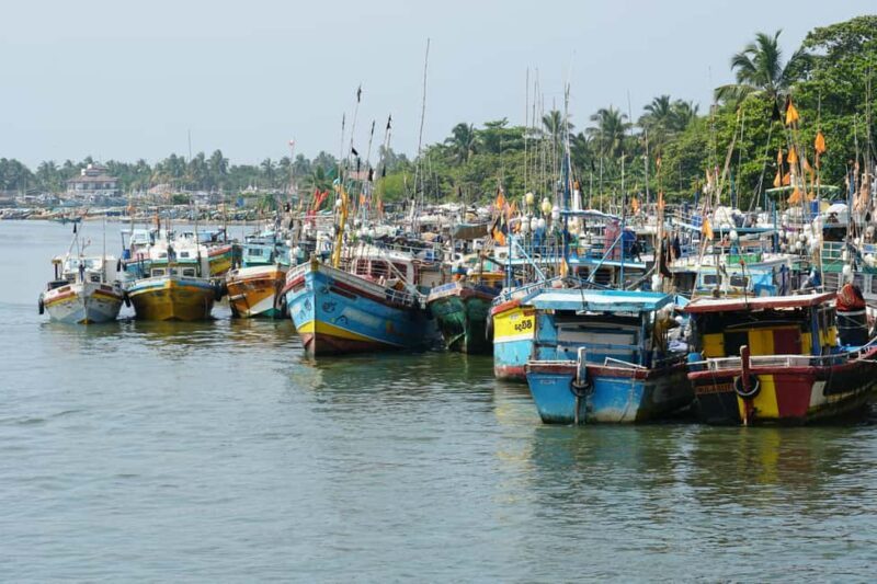 Negombo Private Tour: Market, Temples & Canal - Good To Know