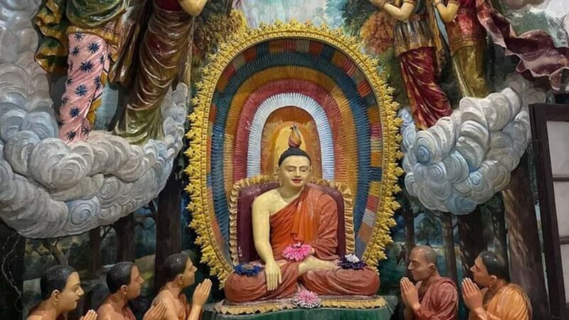 Negombo Private Tour: Market, Temples & Canal - Final Thoughts