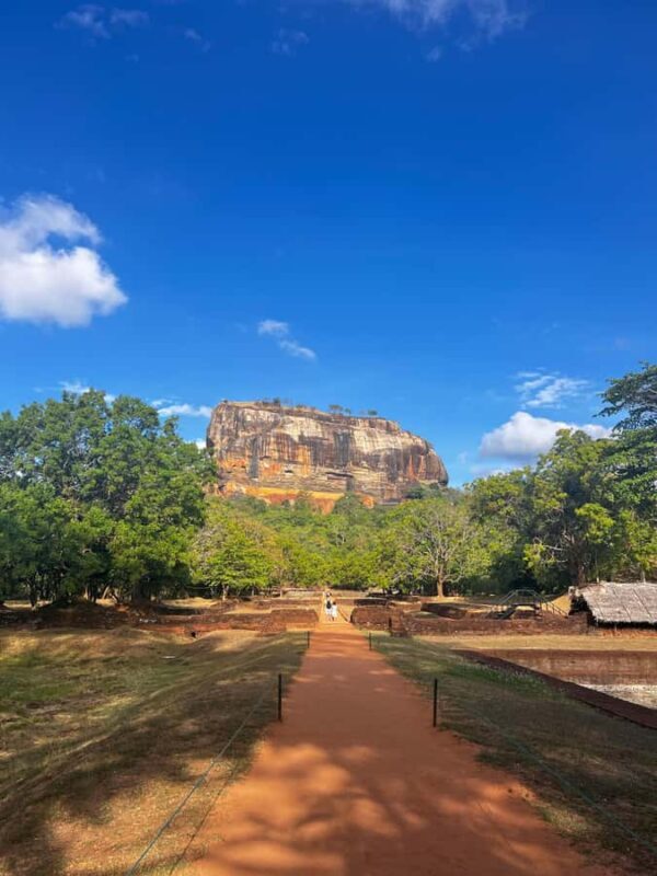 Negombo: Sigiriya, Dambulla & Elephant Safari Day Trip - Lunch Options and Flexibility  