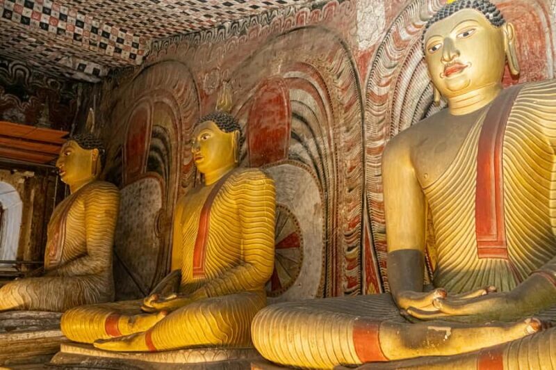 Negombo: Sigiriya, Dambulla & Elephant Safari Day Trip - Returning to Negombo  