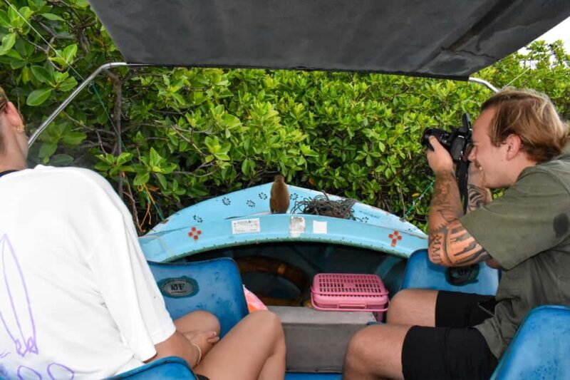 Negombo: Sunset lagoon boat tour with hotel transfers - An In-Depth Look at the Sunset Lagoon Boat Tour