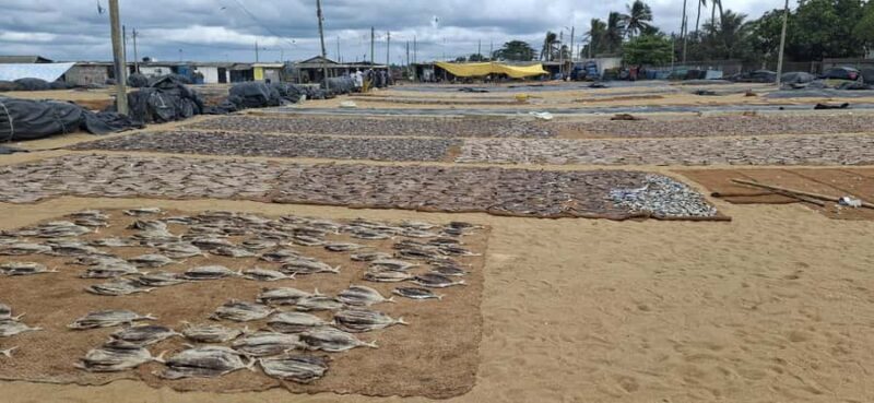 Negombo: Tastiest Local Food Tour by Tuk-Tuk - All Inclusive - FAQ