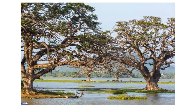 Negombo: To Sigiriya & Dambulla Private Tour with Lunch - FAQ