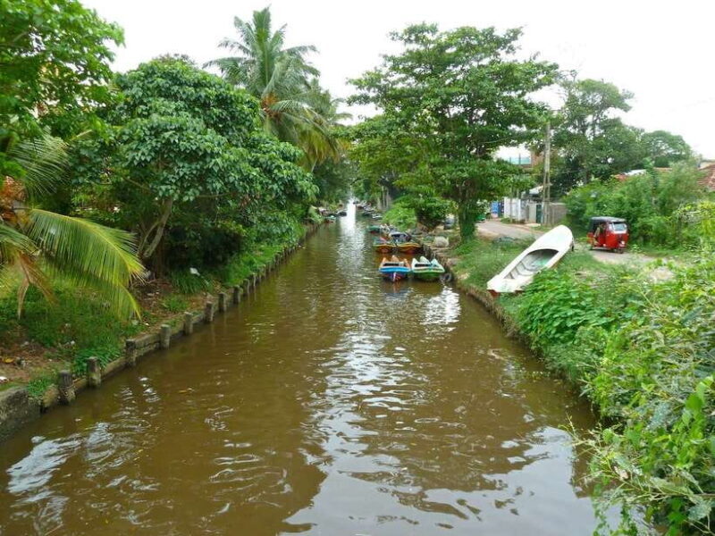 Negombo:Dutch Canal, Lagoon, Muthurajawela Private Boat Tour - An In-Depth Look at the Tour