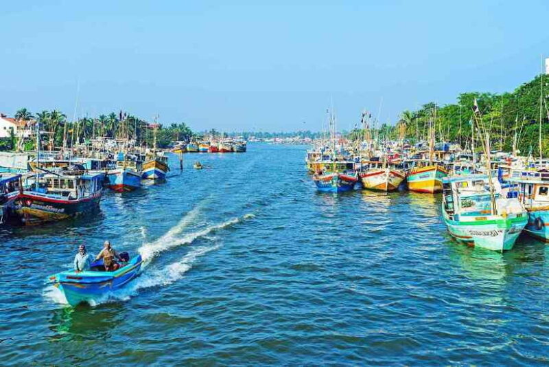 Negombo:Dutch Canal, Lagoon, Muthurajawela Private Boat Tour - Good To Know