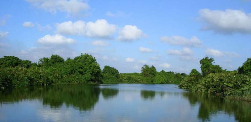 Negombo:Dutch Canal, Lagoon, Muthurajawela Private Boat Tour - Frequently Asked Questions