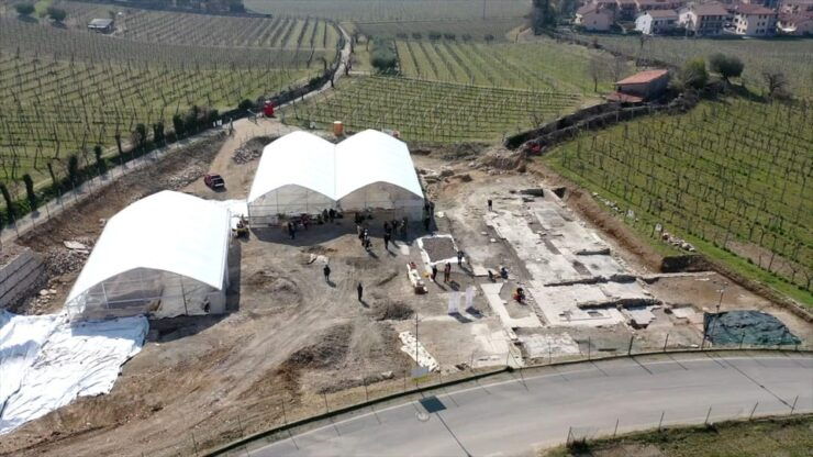 Negrar: Roman Villa Mosaics Tour & Valpolicella Wine Tasting - Highlights of the Itinerary
