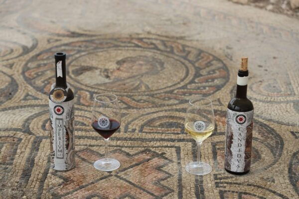 Negrar: Roman Villa Mosaics Tour & Valpolicella Wine Tasting - Culinary Delights
