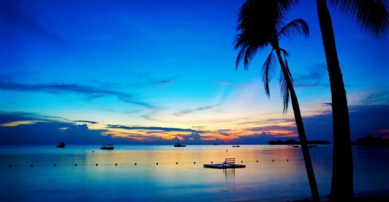 Negril 7-Hour Tour from Montego Bay - A Deep Dive into the Negril 7-Hour Tour