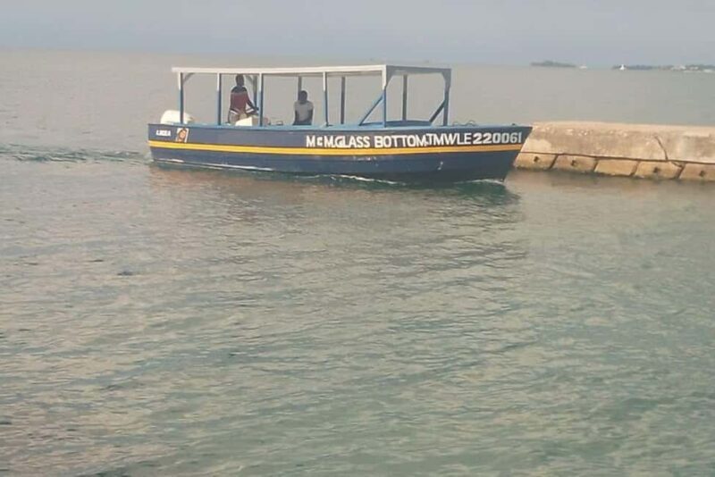 Negril: Booby Cay Island Picnic Tour with Snorkeling - Negril: Booby Cay Island Picnic Tour with Snorkeling - A Complete Guide